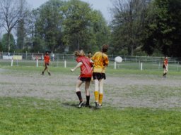0DIA 1988 RAVA B1